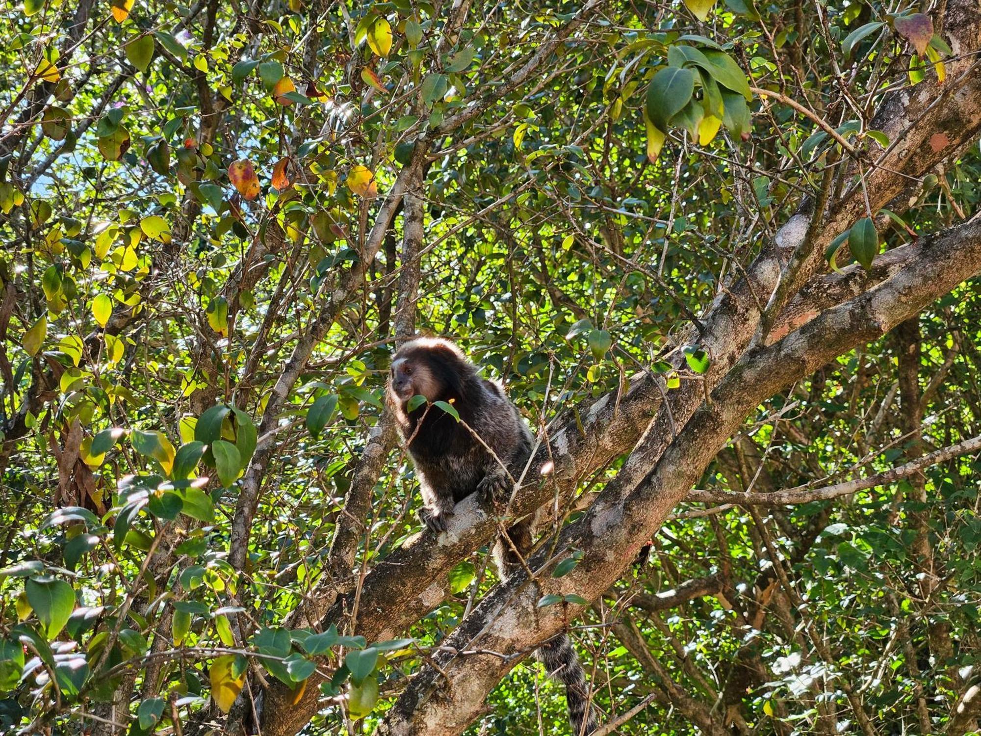 Amara Hospedaria Vale do Capao Kültér fotó